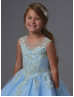 Gold Lace Blue Organza Floor Length Wedding Flower Girl Dress